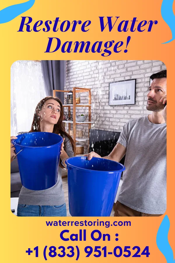 water restoration Horizon Extraction Masters Ellerslie